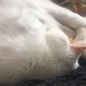 Meet your Posher, Kellie